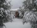 con nieve