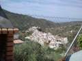 vistas desde el jardín