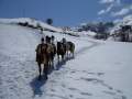 rutas a caballo cobrana